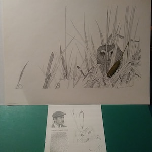 PETER PARNALL &quot;Short-Eared Owl&quot;. Hand Signed and Numbered (#781) Vintage New 1973 Limited Edition, 22x17&quot;, MINT