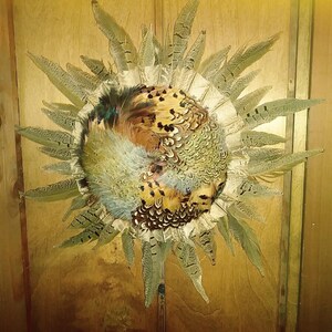 PHEASANT PELT Wall Hanging, One-Of-A-Kind Genuine Tanned Feathered Hides, 18in. Diameter, MINT
