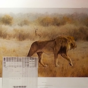 KIM DONALDSON Lion and Kudu, Hand Signed and Numbered (#688) Vintage New 1987 South African Limited Edition, with Receipt, MINT