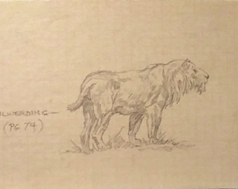 Roy G. Krenkel Pencil Drawing of a Sabretooth Tiger. One-Of-A-Kind 1960s/70s Original Vintage New 4.6x3", Pristine Mint