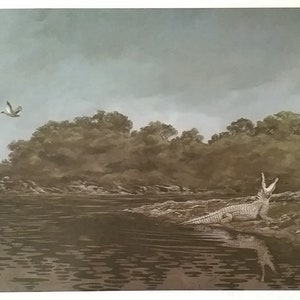 RICHARD SMITH "Crocodile", assinado e numerado (#38/1250 - um número muito baixo!) 18x13" Vintage New 1987 Limited Edition, COA/Recibo, Mint