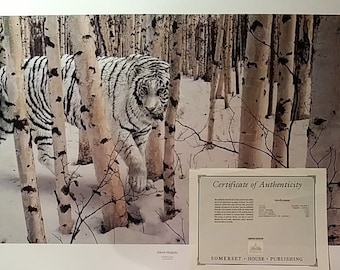 Robert Copple Tiger Print, "Silent Majesty", Hand Signed, Limited Edition