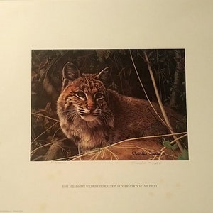 CHARLES FRACE Bobcat, 1983 Mississippi Wildlife Federation, Hand Signed and Numbered (#265) 15x12.5&quot; Limited Edition, NM-M