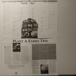FAMILY TREE Genealogical Chart. Vintage New Print for Seven (7) Generations. 17x11&quot; NM-M