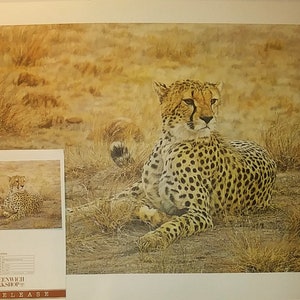 SIMON COMBES Cheetah &quot;Alert&quot;, Hand Signed and Numbered (#290) 1981 Vintage New 30x21&quot; Limited Edition, with NRC, Mint