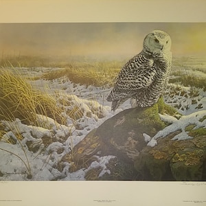 JOHN SEEREY-LESTER &quot;Morning Mist&quot; Snowy Owl. Hand Signed and Numbered (#728) 1984 Vintage New Limited Edition, 24x19&quot;, Mint