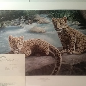 Lámina de leopardos de Amur de Charles France, firmada y numerada, edición limitada de 1994.