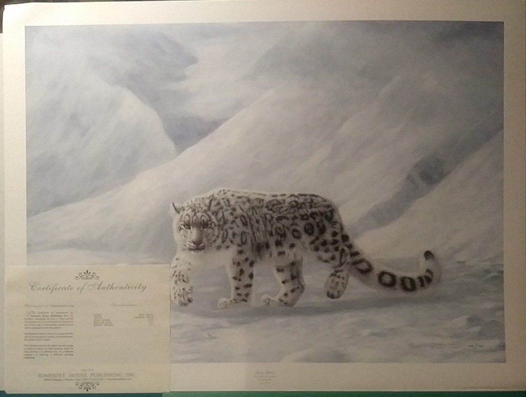 CHARLES FRACE Snow Leopard gray Ghost Signed and Numbered 909 35x26