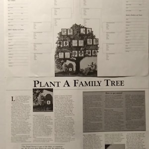 FAMILY TREE GENEALOGICAL Chart Vintage Print for Seven (7) Generations, Near Mint