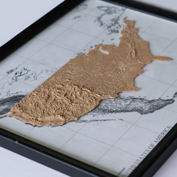 US Topographical Map 3d Print Art