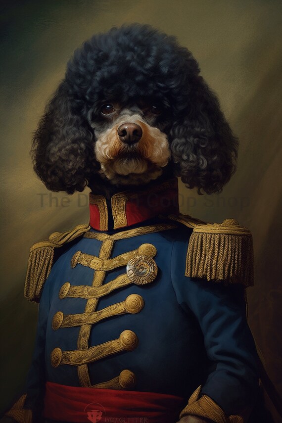 Poodle in Military Uniform Vintage Historical Dog Wall Art Print