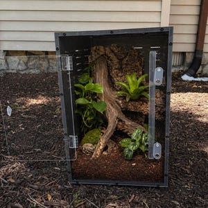 Op de afbeelding: Een zwart terrarium met een heldere acryl deur, met een natuurlijke habitat. Binnenin wordt een groot stuk drijfhout omringd door weelderige groene planten, mos en aarde. Het terrarium is ontworpen om kleine reptielen of amfibie&euml;n te huisvesten.