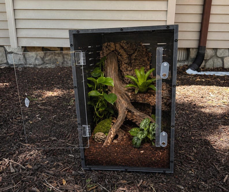 Op de afbeelding: Een zwart terrarium met een heldere acryl deur, met een natuurlijke habitat. Binnenin wordt een groot stuk drijfhout omringd door weelderige groene planten, mos en aarde. Het terrarium is ontworpen om kleine reptielen of amfibie&euml;n te huisvesten.