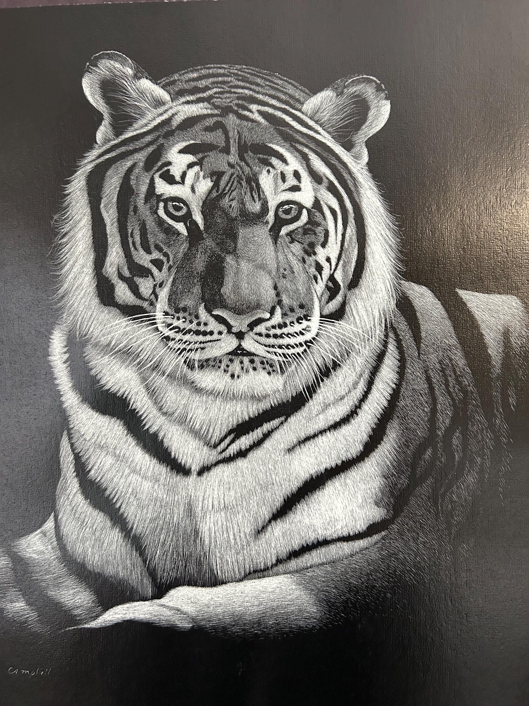 Tiger Pen Ink Vintage Tiger Art Print Pen and Ink Framed - Etsy
