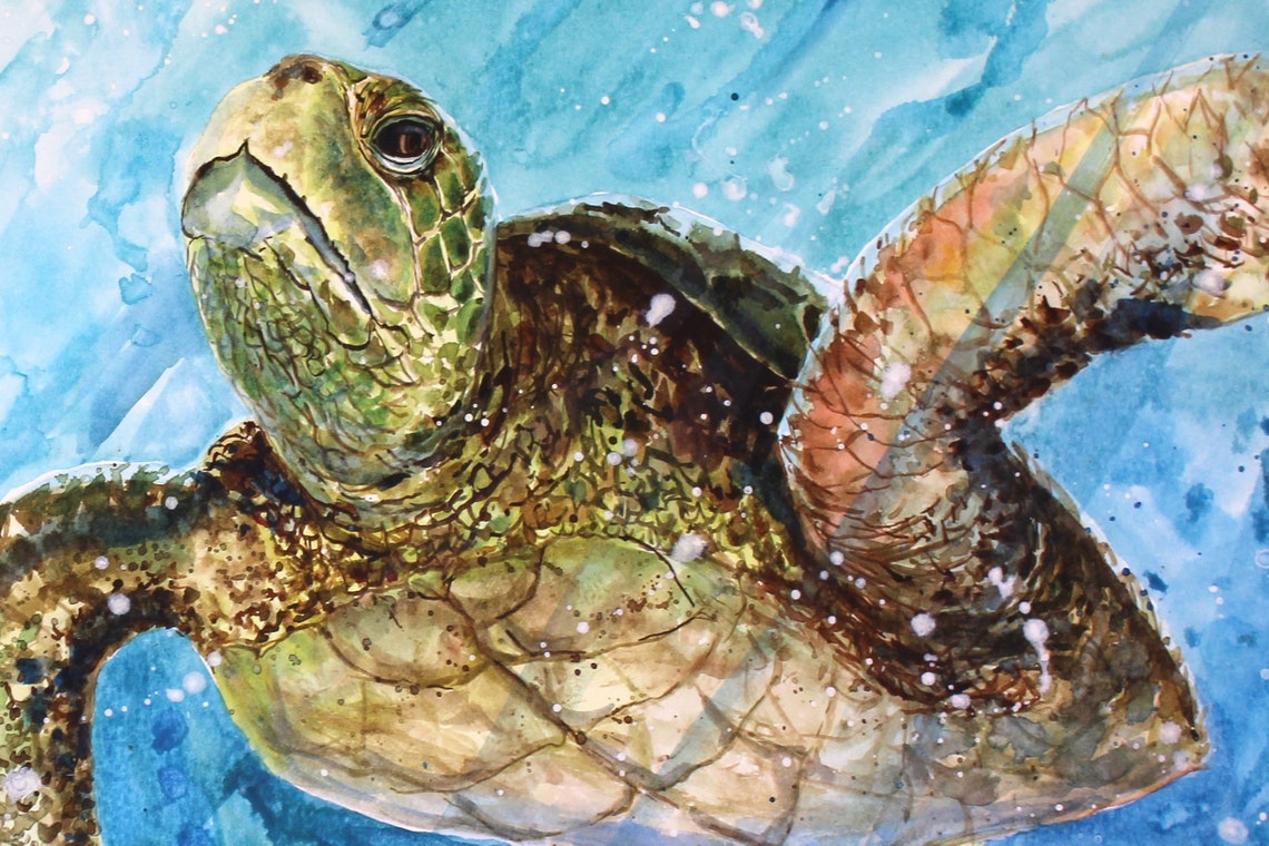 LOGGERHEAD SEA TURTLE Original Watercolor Turtle Art Painting by ...
