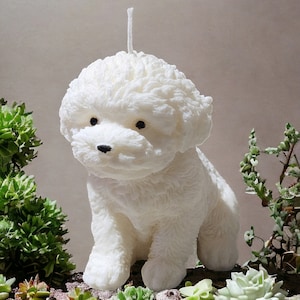 Cute Puppy Candle, Teddy Dog Candle, Poodle Candle, Puppy Candle, Pet Lovers, Dog Lovers, Home Decor, Fun Candle
