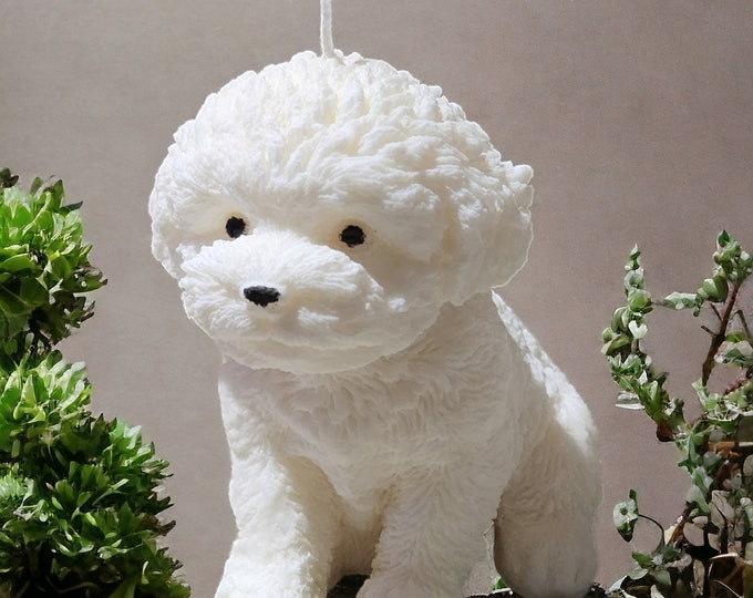 Cute Puppy Candle, Teddy Dog Candle, Poodle Candle, Puppy Candle, Pet Lovers, Dog Lovers, Home Decor, Fun Candle