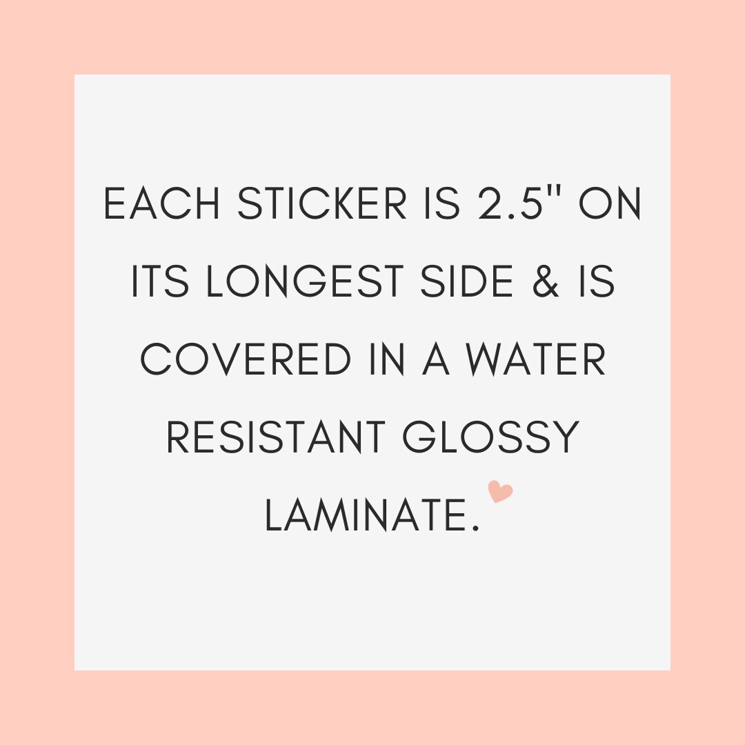 Villain Era Rose Water Resistant Vinyl Sticker Great for Gifts Tablets