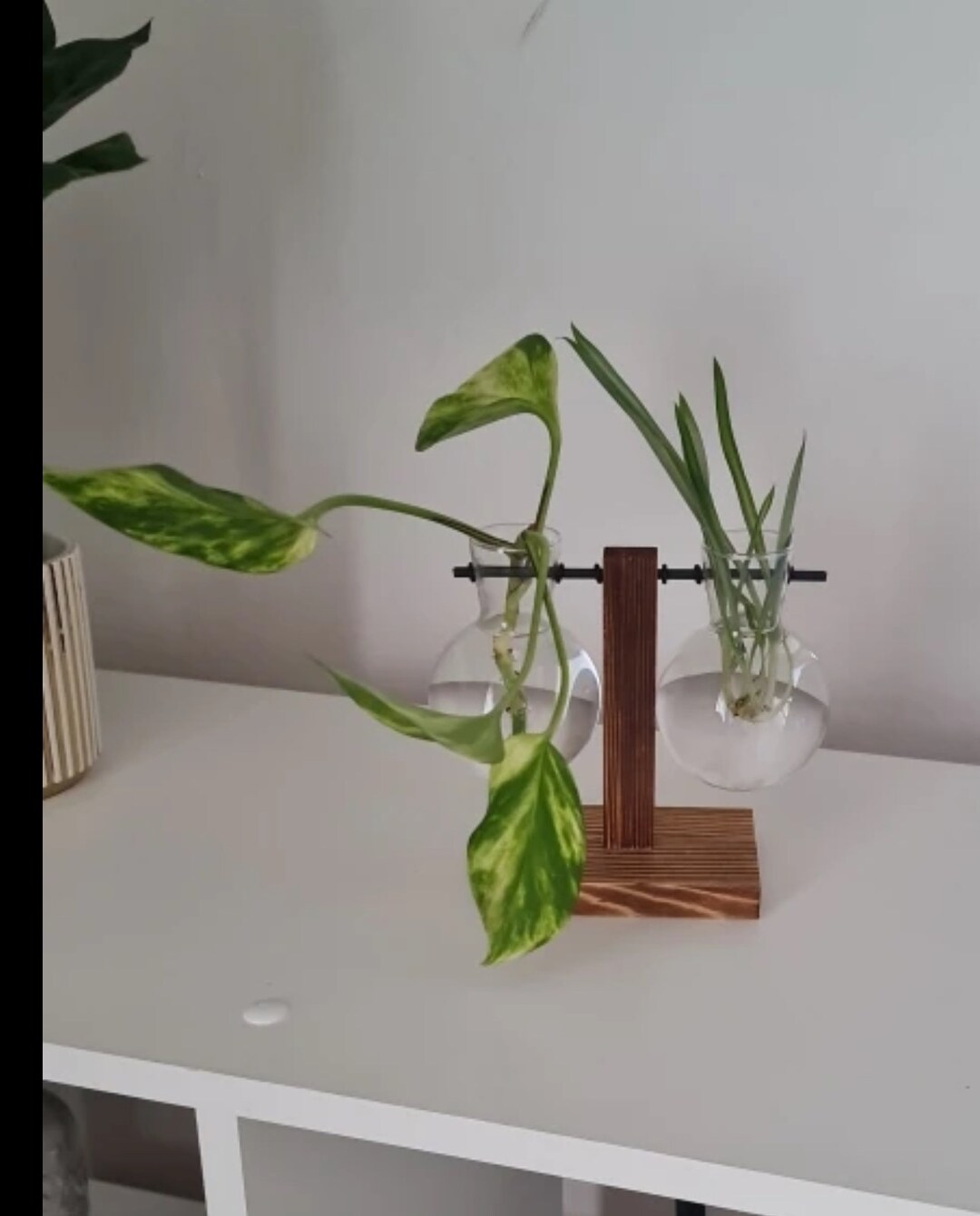 Desk Plant Stand Test Tube Style Hydroponic Vase for Plants Etsy