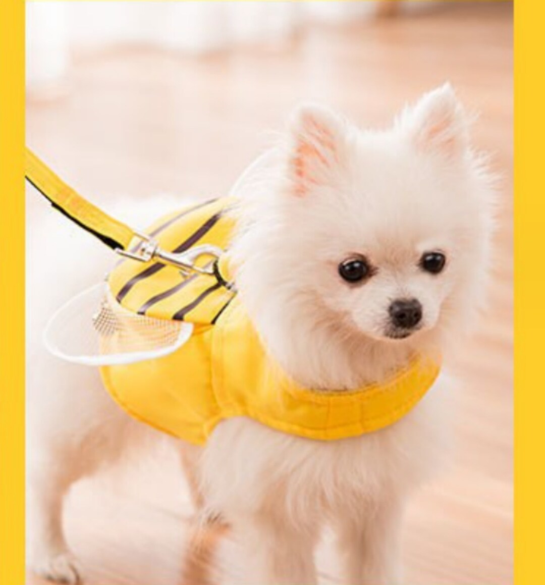 Cat Small Dogs Harness Vest With Saddle Bag and Dring Leash Etsy