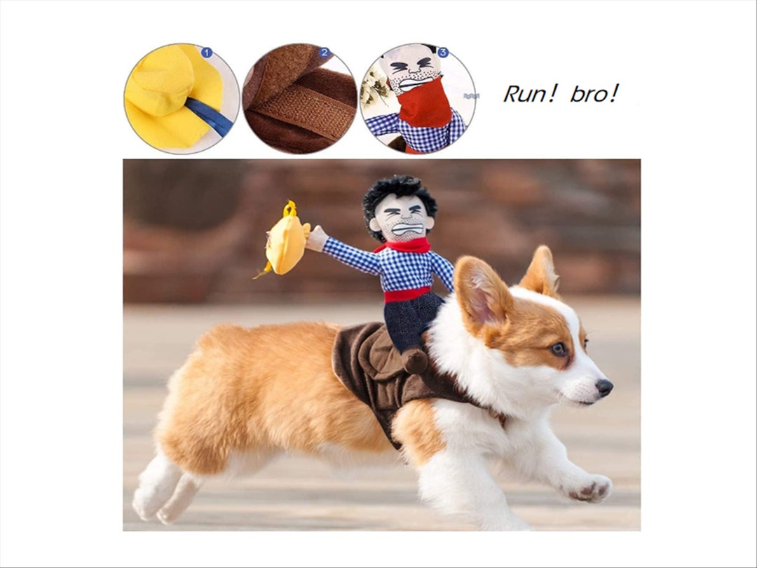 Funny Cowboy Rider Costume With Hat for Cats Small Dogs Pet Etsy