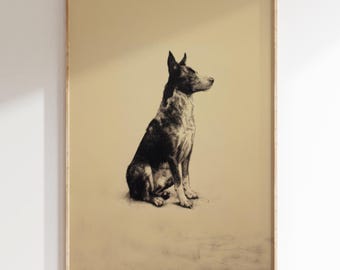 Vintage Australian Cattle Dog Sketch Download, Digital Print, Printable Wall Art, Dog Lover Artwork, Australian Cattle Dog Decor