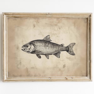 Vintage Trout Sketch Download, Fishing Wall Art, Fish Decor, Lakehouse Print, Boys Room Digital Printable, Hunting Nursery, Rustic Artwork