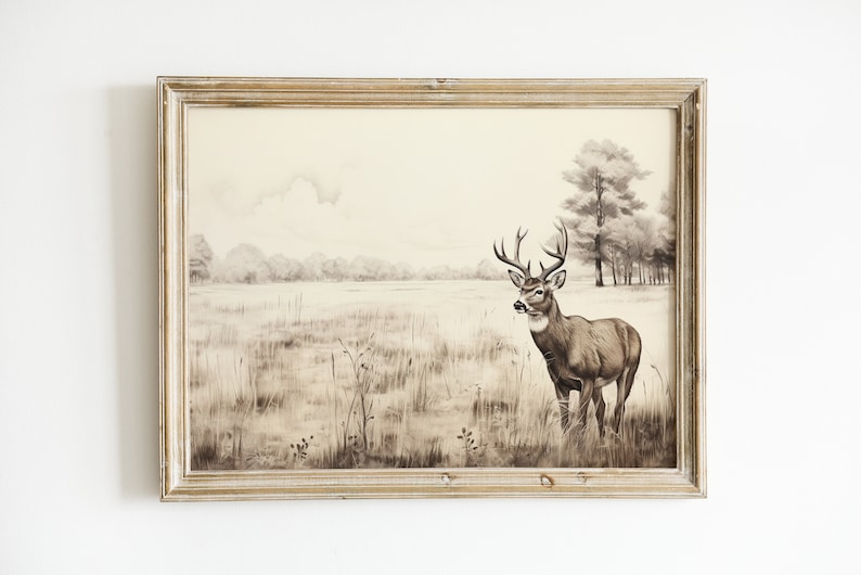 Vintage Deer Sketch Print, Hunting Digital Printable Wall Art Download ...