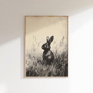 May include: A black and white illustration of a rabbit sitting in tall grass. The rabbit is looking to the right of the image.