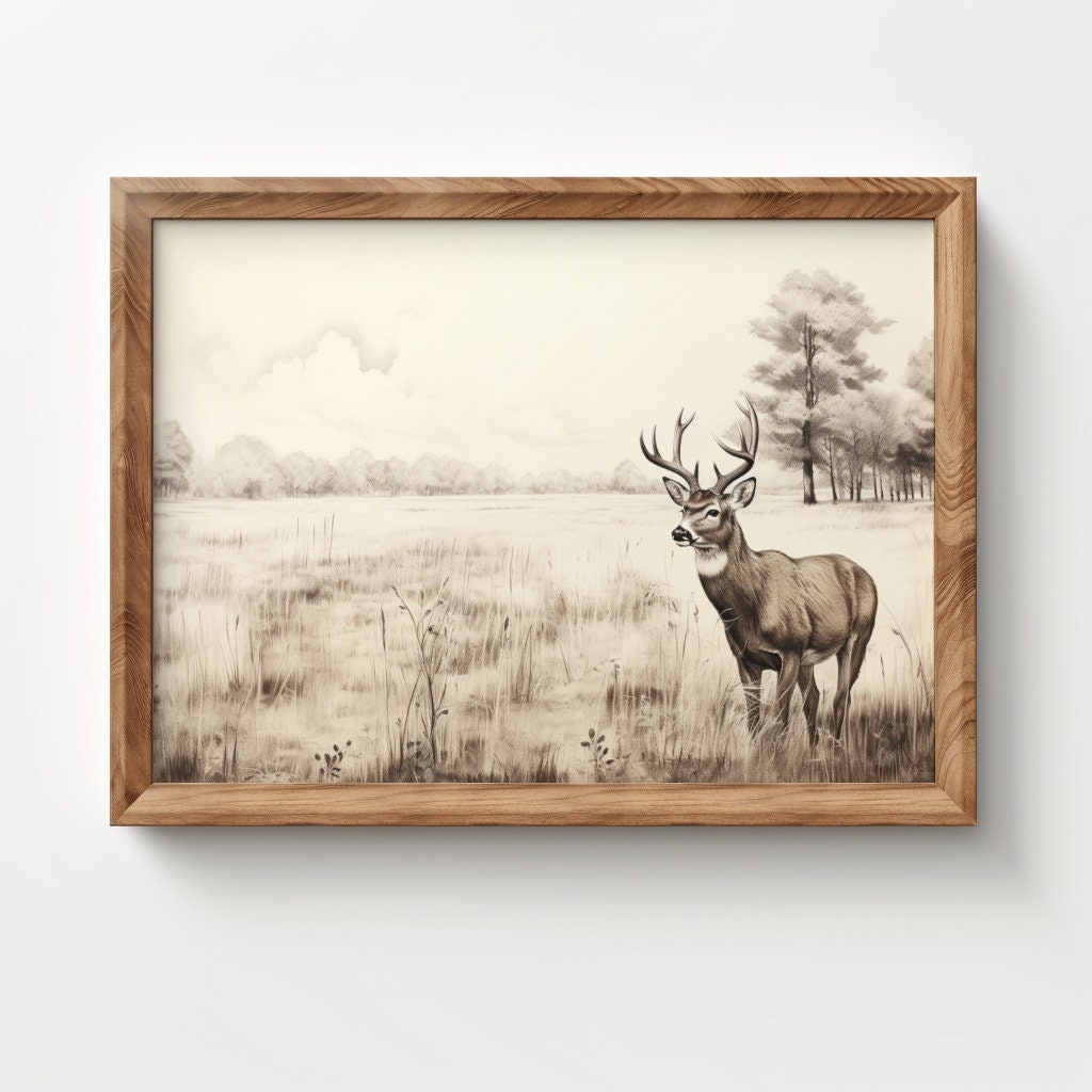 Vintage Deer Sketch Print, Hunting Digital Printable Wall Art Download ...