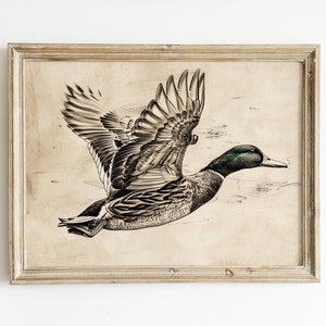 May include: A framed black and white drawing of a duck in flight. The duck is depicted with its wings spread and its head turned to the side. The background is a light brown color.