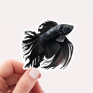 Pretty Black Betta Fish Sticker, Betta Fish Sticker, Pretty Fish Sticker for Laptops, Betta Fish Art, Pretty Sticker, Betta Fish Lover