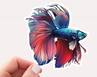 Pretty Betta Fish Sticker, Betta Fish Sticker, Pretty Fish Sticker for Laptops, Betta Fish Art, Pretty Sticker, Betta Fish Lover, Cool Fish