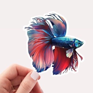 May include: A colorful sticker featuring a betta fish with a long, flowing tail. The fish is blue, red, and pink with a white outline.