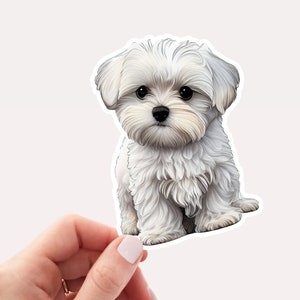 Maltese Puppy Sticker, Vinyl Sticker, Maltese Puppy, Dog Lover Sticker, Cute Sticker, Sticker Art, White Dog Sticker, Pet Lover sticker