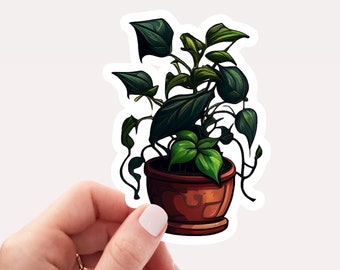 Potted Devil's Ivy Plant Vinyl Sticker, Plant Sticker, Devil's Ivy Plant, Pretty Plant Sticker, Potted Plant Vinyl Sticker