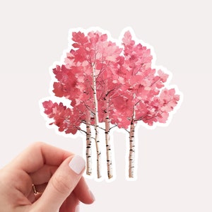 Pretty Pink Aspen Trees Vinyl Sticker, Pink Aspen Trees, Trees Sticker, Pink Sticker, Nature Sticker, Aspen Grove, Pretty Sticker