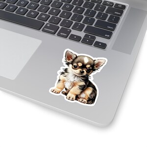 May include: A brown and white chihuahua puppy sitting on a white background. The puppy has big brown eyes and a cute expression.
