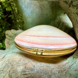 Könnte beinhalten: Eine rosa Muschelschmuckdose mit einem goldenen Scharnier und Verschluss. Die Dose liegt auf einer strukturierten, grünen Oberfläche.