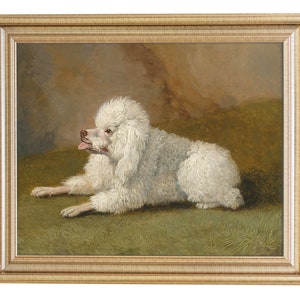 Silly 18th Century White Poodle, Weird Old Dog Painting, Antique Poodle Art, High Quality Art Print, 1700s Animal Painting, White Dog