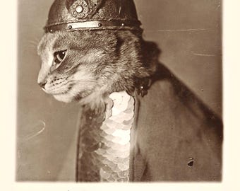 Brünnhilde, Valkyrie Cat Photograph, Antique Vintage Cat Photo