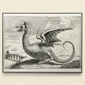 17th Century Dragon Art, Dragon Art Print From Antique Etching, Renaissance Decor, Black and White, 1600s Art, Pen and Ink