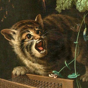 Renaissance Cat With Human Features, Weird Antique Cat Painting, Ugly ...