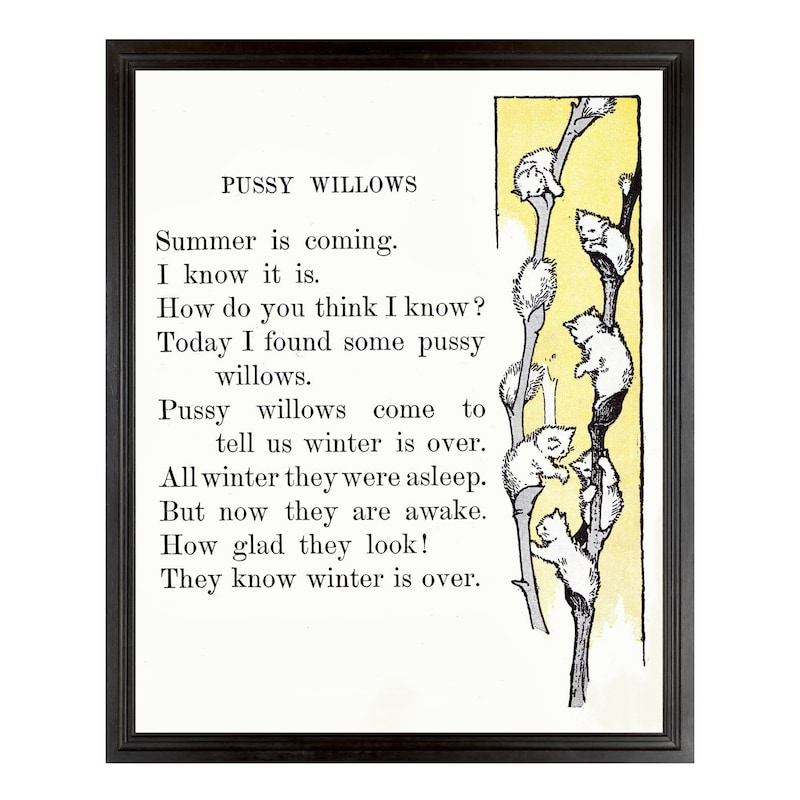 Pussy Willow/ Cat Decor - Etsy