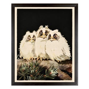 Three Baby Owls, Early 1900s Magazine Cover Art, Jugend Magazine, Vintage Owl Decor, Baby Owls, Owl Art Print, Owl Art, Owl Illustration