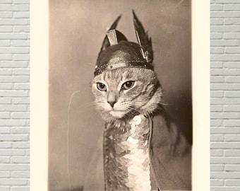 Brünnhilde, Valkyrie Cat Photograph, Antique Vintage Cat Photo