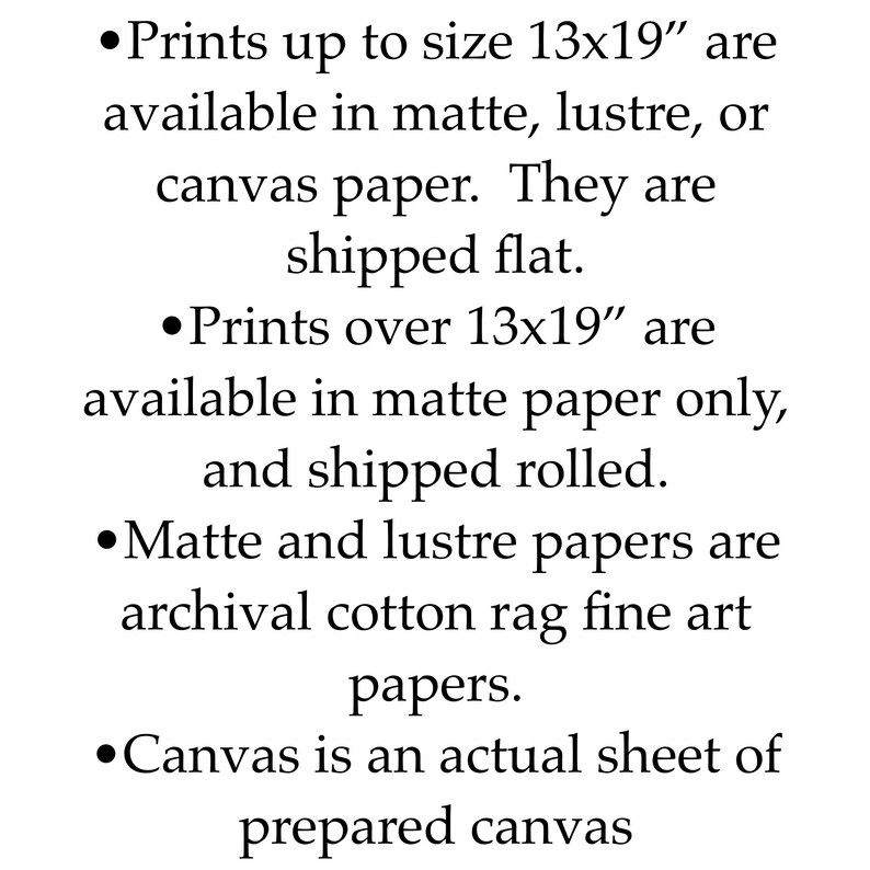 Puede incluir: Informaci&oacute;n sobre los tama&ntilde;os de impresi&oacute;n y los tipos de papel. Las impresiones de hasta 33x48 cm est&aacute;n disponibles en papel mate, lustre o lienzo. Las impresiones de m&aacute;s de 33x48 cm est&aacute;n disponibles solo en papel mate. Los papeles mate y lustre son papeles de arte fino de algod&oacute;n de calidad de archivo. El lienzo es una hoja real de lienzo preparado.