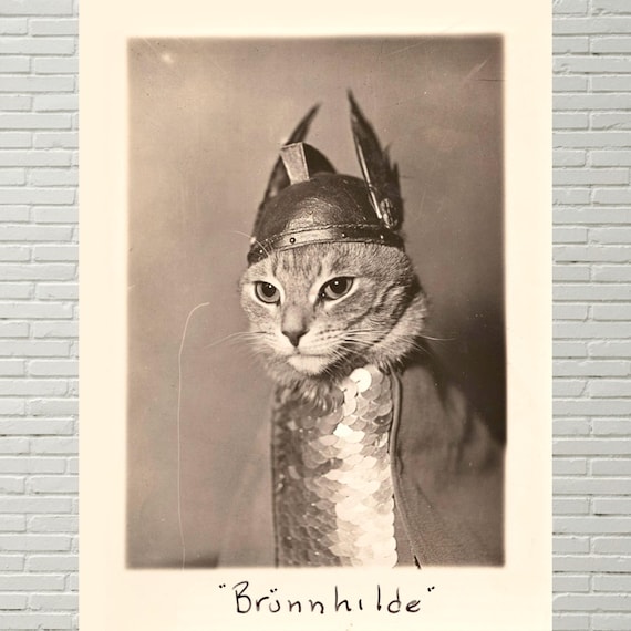 Brünnhilde, Valkyrie Cat Photograph, Antique Vintage Cat Photo