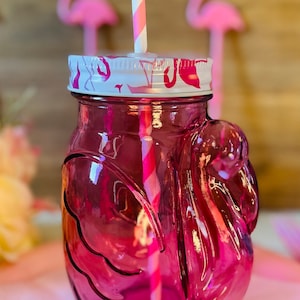 Flamingo Clear Glass 18 oz Mason Jar Tumbler includes Silver Lid