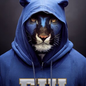 May include: A blue hooded sweatshirt with a panther face painted on the hood. The panther has blue and black markings.